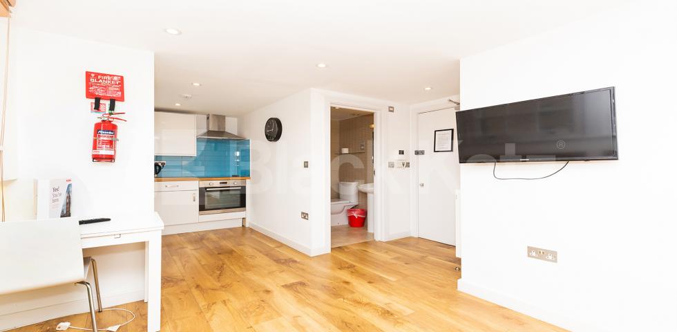 			ZONE 1 LOCATION, Studio Apartment, 1 bath, 1 reception Studio			 BYNG PLACE WC1E, RUSSELL SQUARE - EUSTON - FITZROVIA 